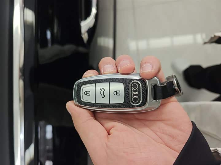 Audi A6L Hybrid 2020 2020款 55 TFSI e quattro