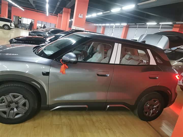 BYD Yuan Up 2025 2025款 智驾版 401KM 活力版