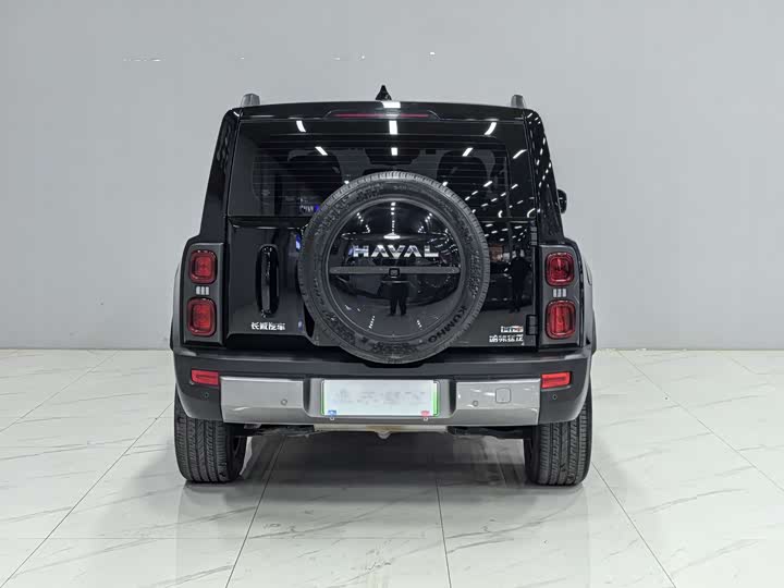 Haval Raptor Hybrid 2024 2024款 Hi4 145 穿越版