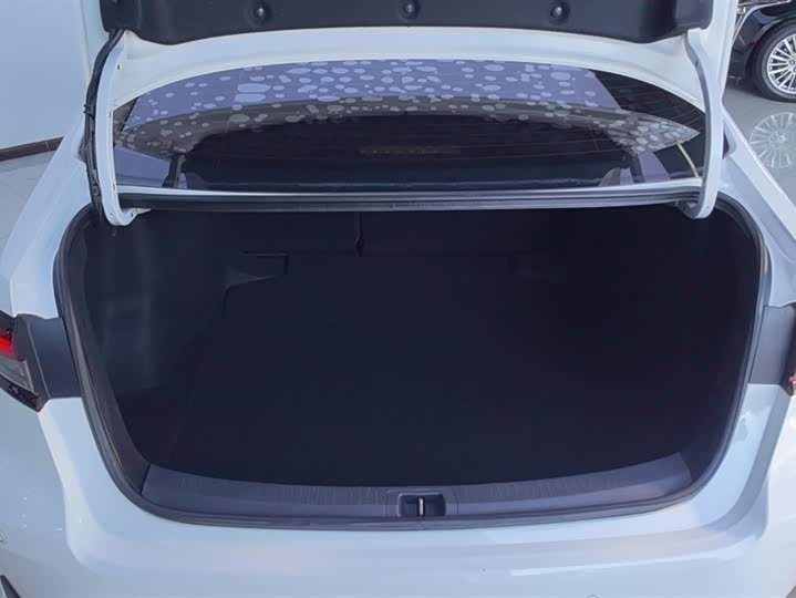 Toyota Allion 2021 2021款 2.0L 豪华版