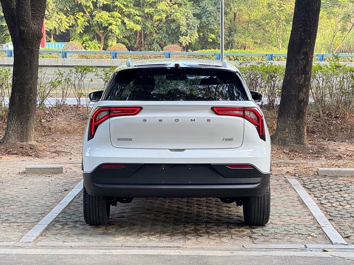 Geely Geometry E Firefly 2024 2024款 301km 流光