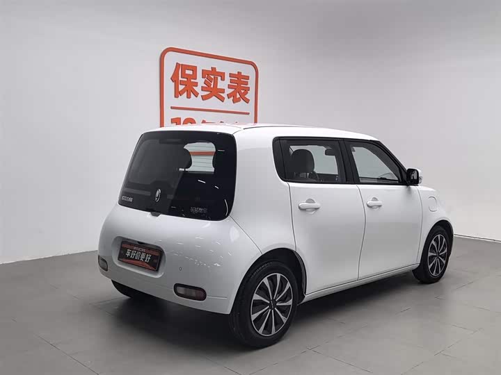 Ora White Cat 2022 2022款 升级版 305km 舒享型 三元锂