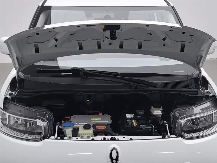 Ora White Cat 2022 2022款 升级版 305km 舒享型 三元锂