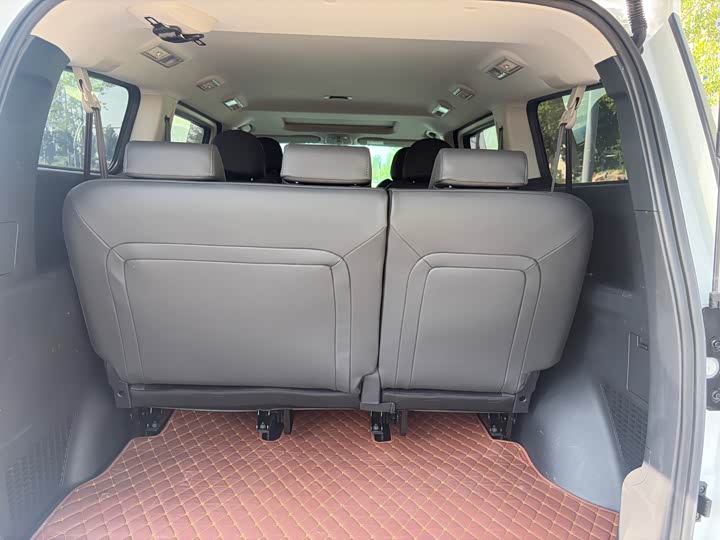 Maxus G10 2022 2022款 2.0T 自动精英版 汽油 7座