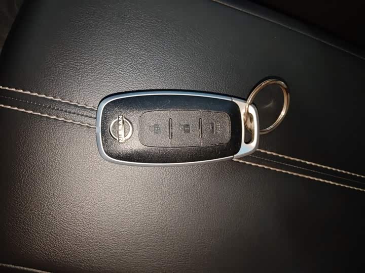 Nissan Teana 2022 2022款 2.0L XL-TLS 悦享版