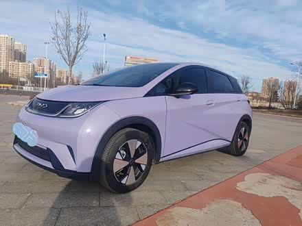 BYD Dolphin 2025 2025款 420km 自由版