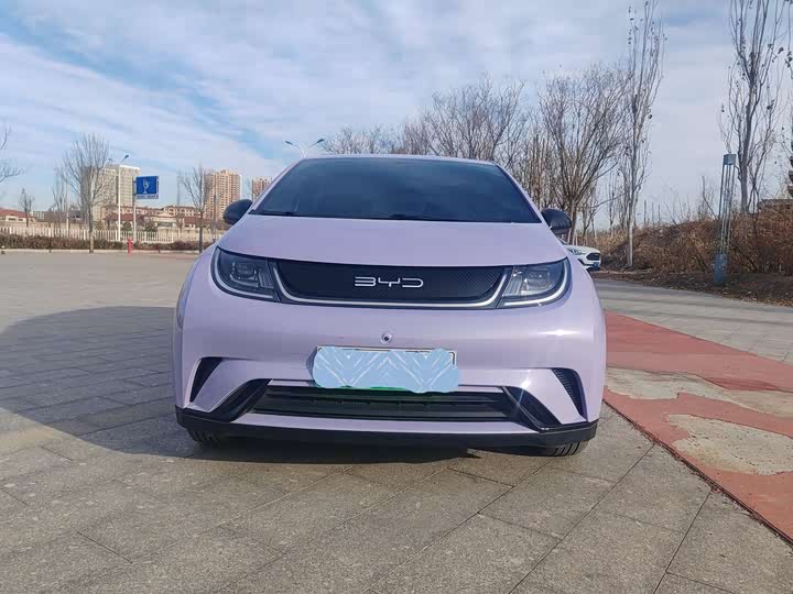 BYD Dolphin 2025 2025款 420km 自由版