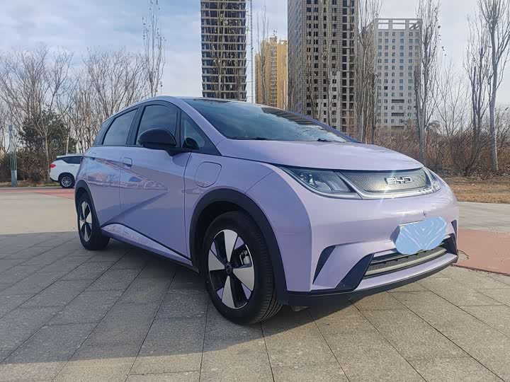 BYD Dolphin 2025 2025款 420km 自由版