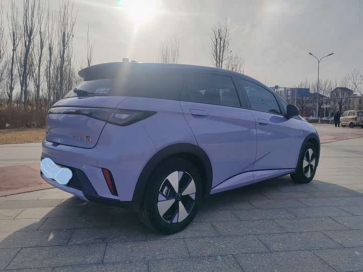 BYD Dolphin 2025 2025款 420km 自由版