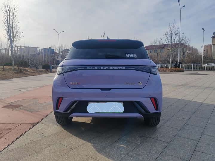 BYD Dolphin 2025 2025款 420km 自由版