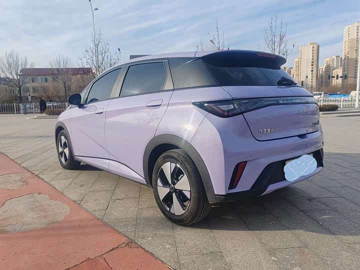 BYD Dolphin 2025 2025款 420km 自由版