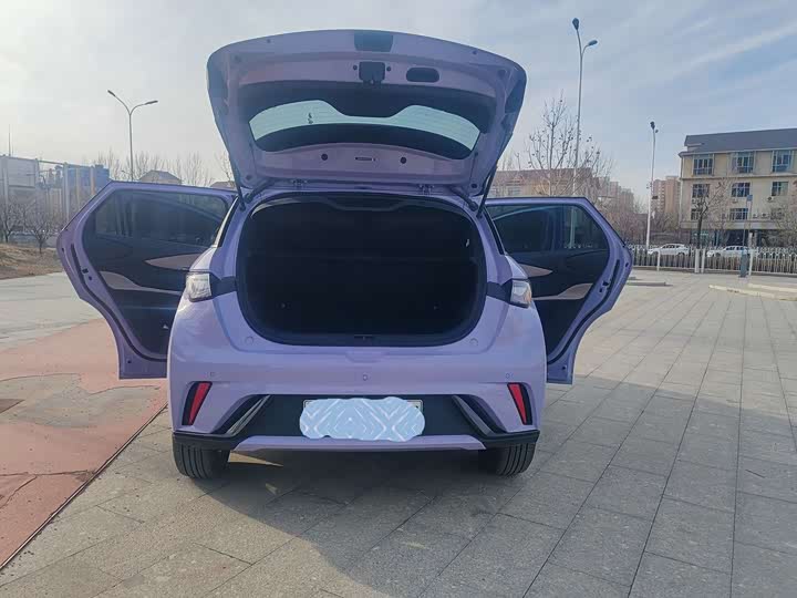 BYD Dolphin 2025 2025款 420km 自由版