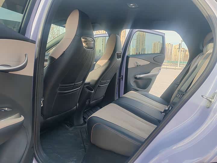 BYD Dolphin 2025 2025款 420km 自由版