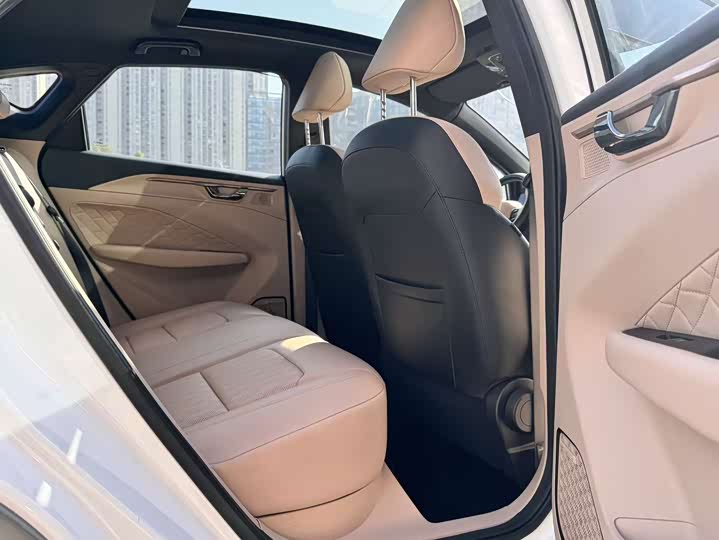 Geely Geometry C 2022 2022款 550KM 西柚Pro