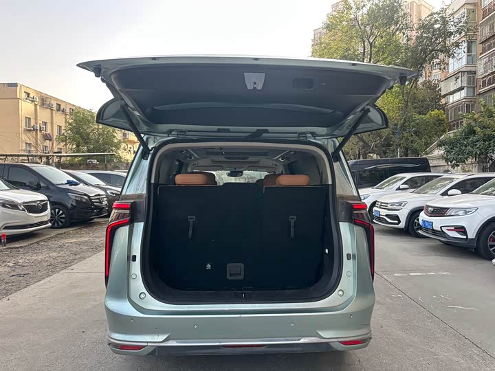 Maxus Mifa 9 2024 2024款 超混 长续航森林版 七座