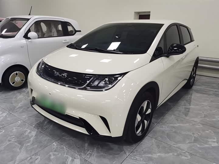 BYD Dolphin 2025 2025款 420km 自由版