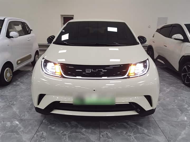 BYD Dolphin 2025 2025款 420km 自由版