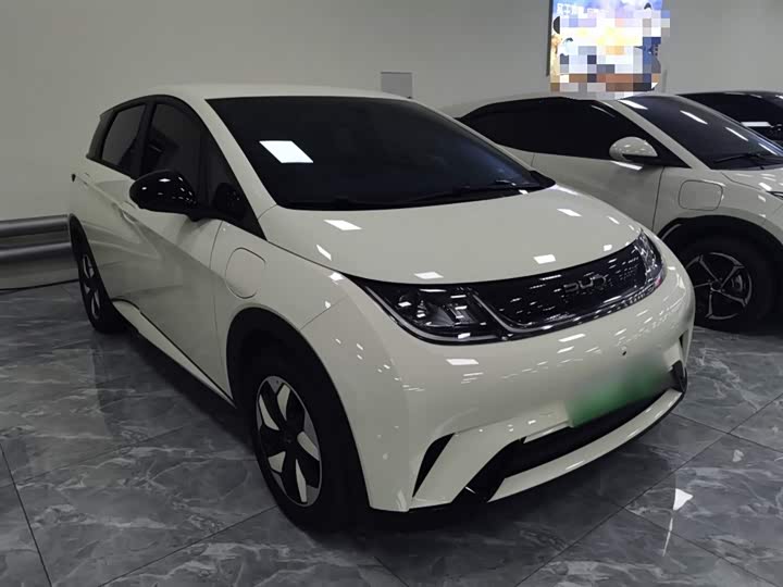 BYD Dolphin 2025 2025款 420km 自由版
