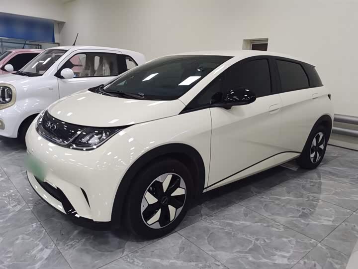 BYD Dolphin 2025 2025款 420km 自由版