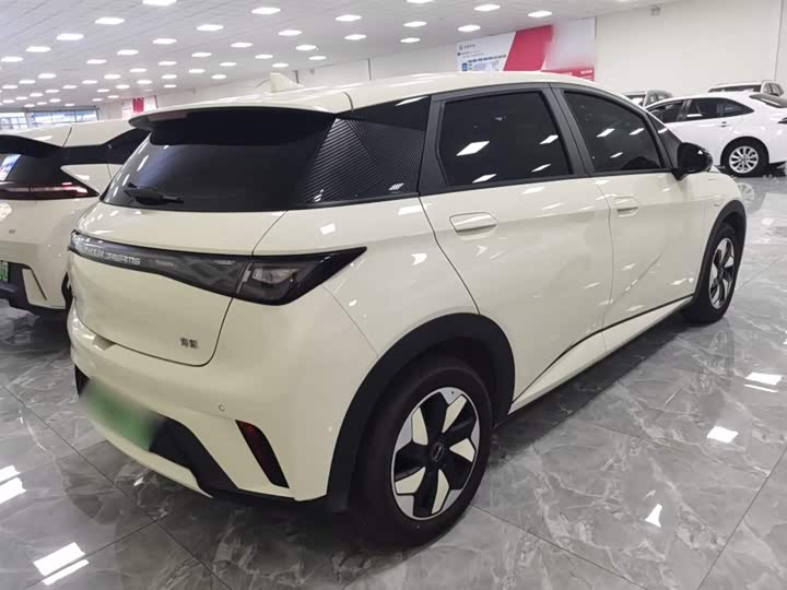 BYD Dolphin 2025 2025款 420km 自由版