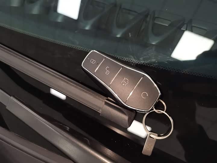 BYD Dolphin 2025 2025款 420km 自由版