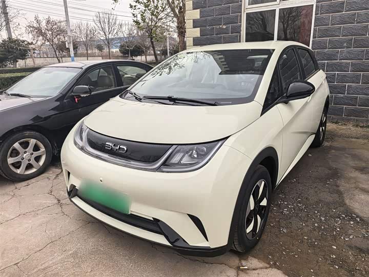 BYD Dolphin 2025 2025款 420km 自由版