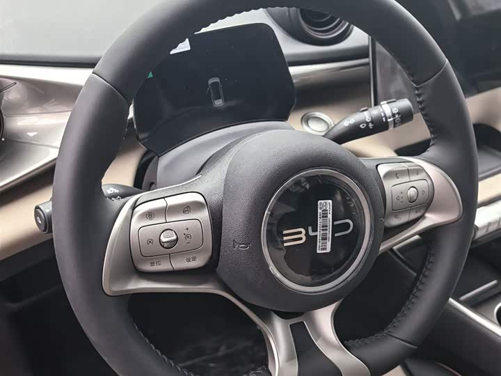 BYD Dolphin 2025 2025款 420km 自由版