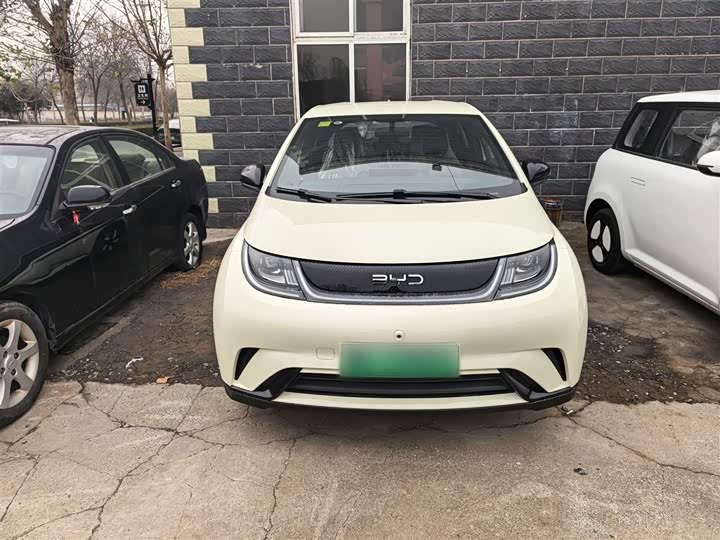 BYD Dolphin 2025 2025款 420km 自由版