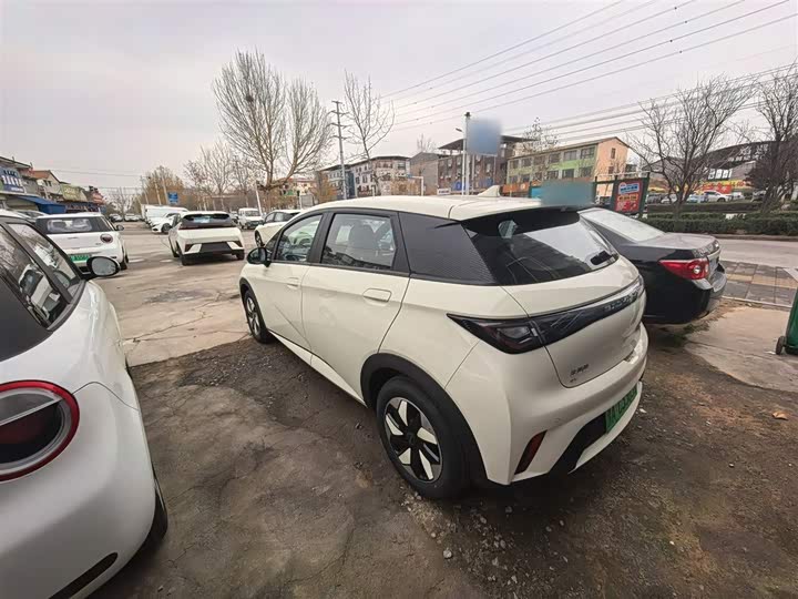 BYD Dolphin 2025 2025款 420km 自由版