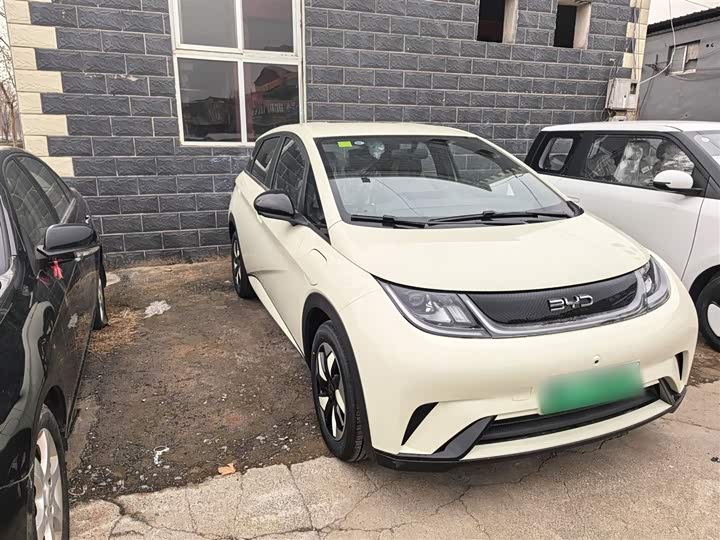 BYD Dolphin 2025 2025款 420km 自由版