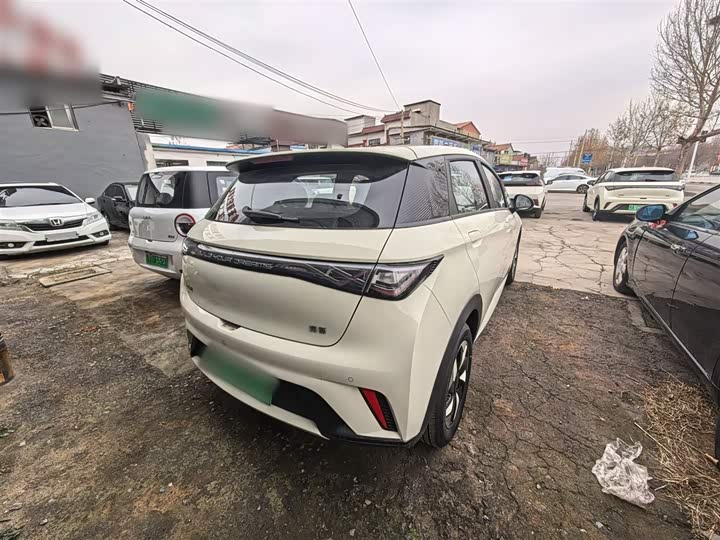 BYD Dolphin 2025 2025款 420km 自由版