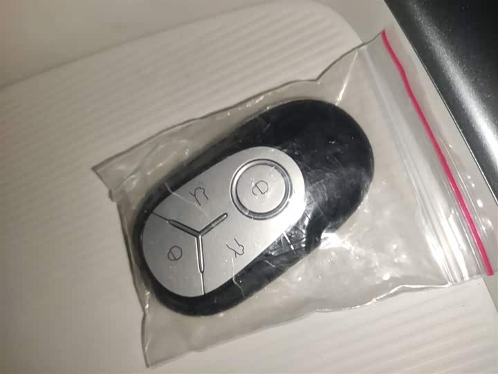 Geely Galaxy Geome 2026 2026款 310km 青春版