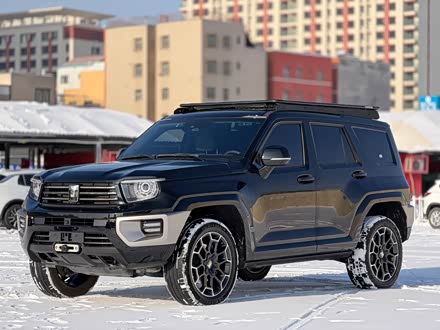 Tank 700 Hybrid 2024 2024款 Hi4-T 极境版