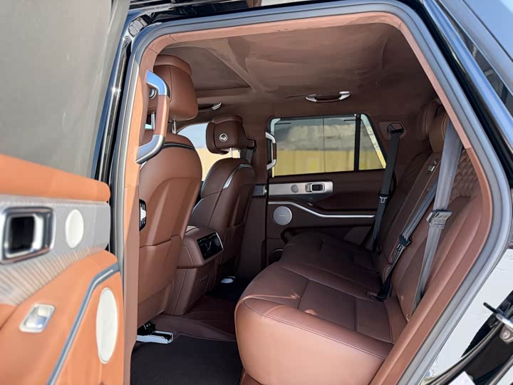 Tank 700 Hybrid 2024 2024款 Hi4-T 极境版