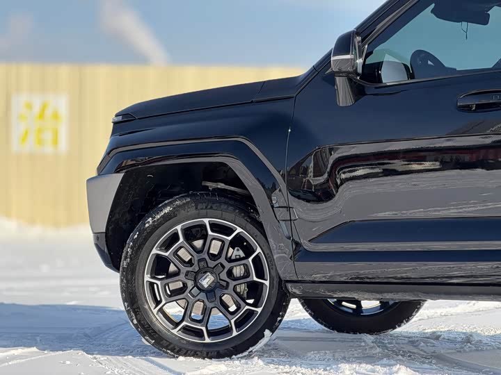 Tank 700 Hybrid 2024 2024款 Hi4-T 极境版