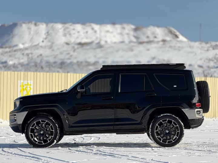 Tank 700 Hybrid 2024 2024款 Hi4-T 极境版