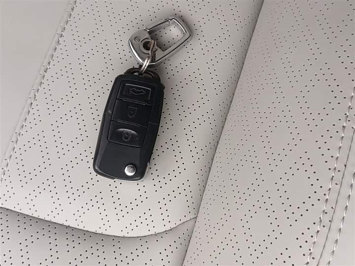 Dongfeng Forthing Lingzhi Plus 2024 2024款 1.5T 手动豪华型 7座