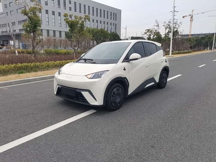 BYD Seagull 2025 2025款 305km 活力版