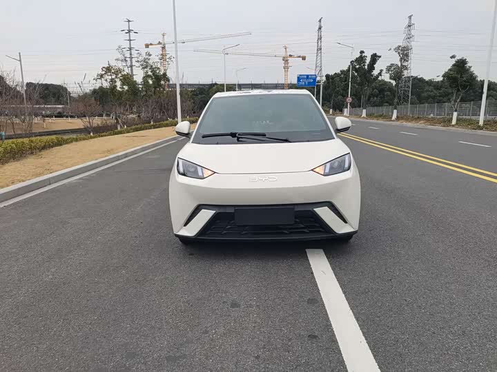 BYD Seagull 2025 2025款 305km 活力版