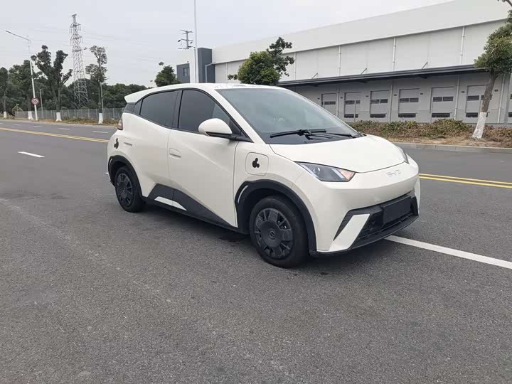 BYD Seagull 2025 2025款 305km 活力版