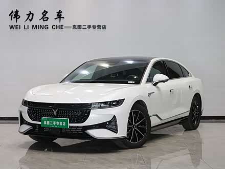 Voyah Passion 2024 2024款 PHEV 四驱超长续航旗舰版