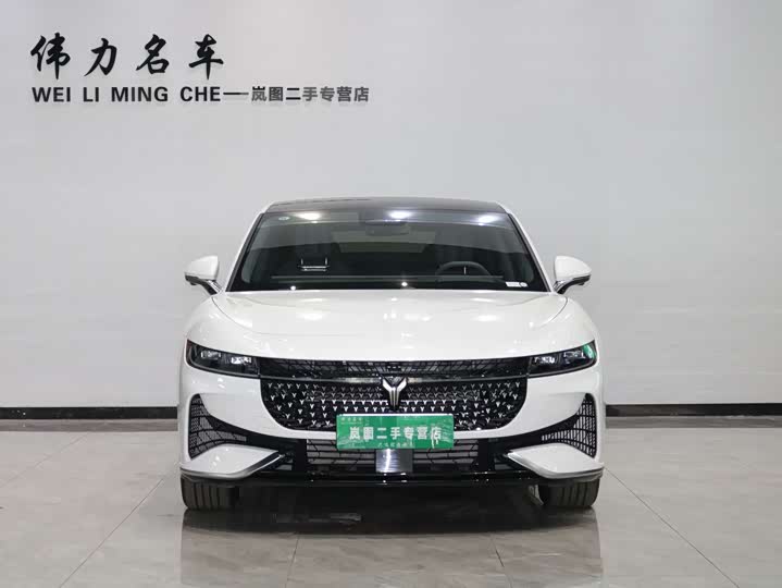 Voyah Passion 2024 2024款 PHEV 四驱超长续航旗舰版