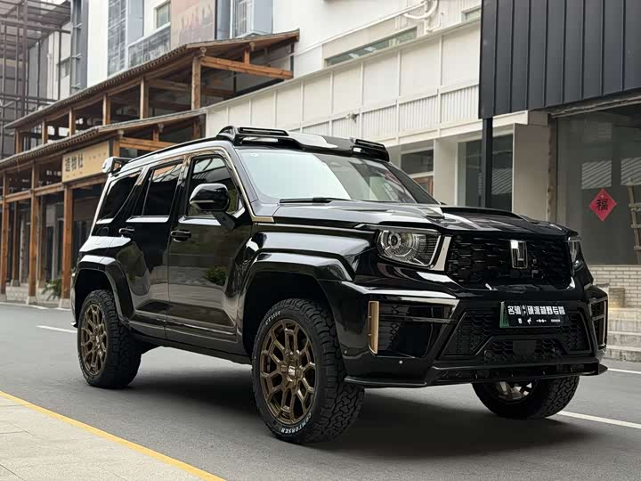 Tank 700 Hybrid 2024 2024款 Hi4-T 极境版