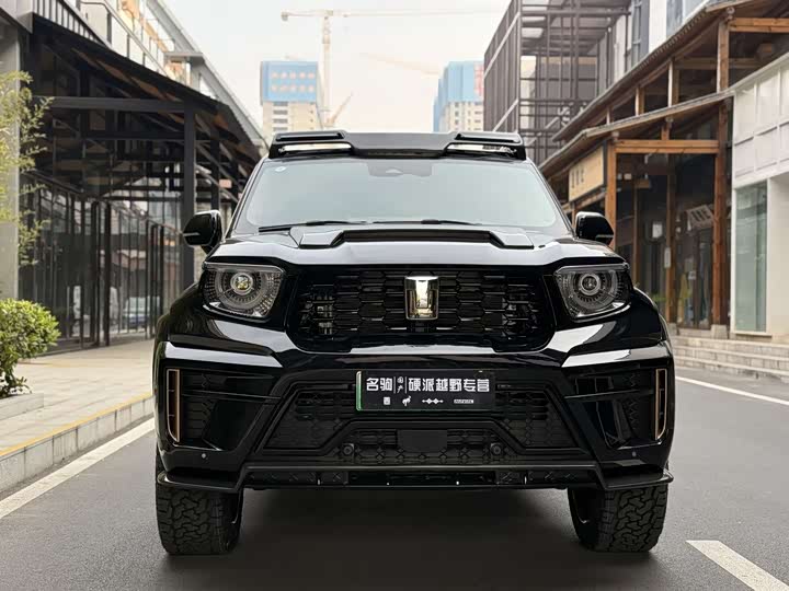 Tank 700 Hybrid 2024 2024款 Hi4-T 极境版