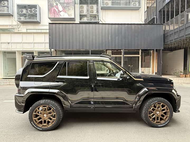 Tank 700 Hybrid 2024 2024款 Hi4-T 极境版