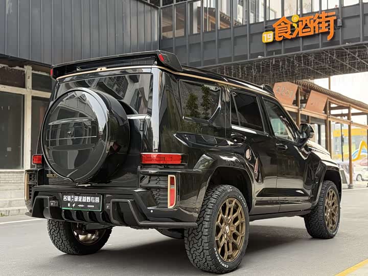 Tank 700 Hybrid 2024 2024款 Hi4-T 极境版