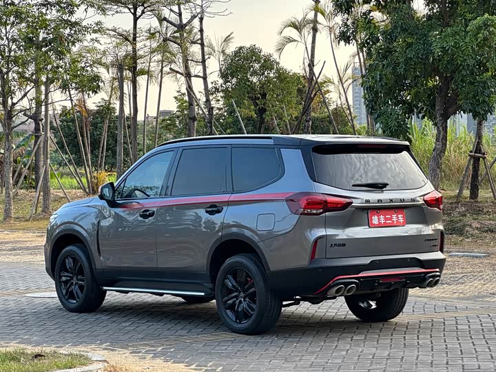 Maxus D90 Pro 2021 2021款 2.0T 汽油四驱旗舰版 6座