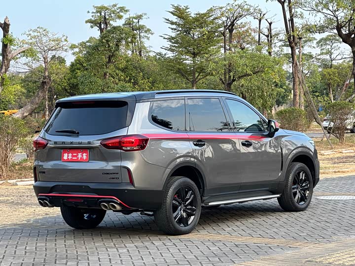 Maxus D90 Pro 2021 2021款 2.0T 汽油四驱旗舰版 6座