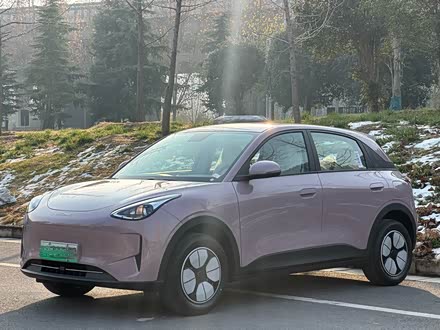 Geely Galaxy Geome 2026 2026款 310km 青春版