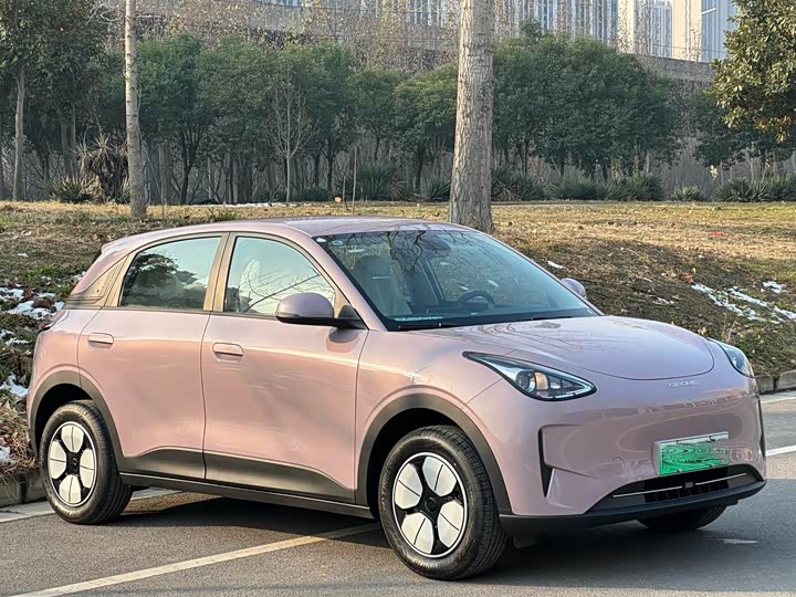 Geely Galaxy Geome 2026 2026款 310km 青春版